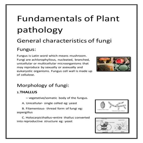 General characteristics of_fungi[1] | DOCX