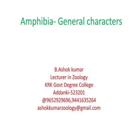 General characters amphibia