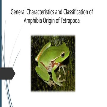Class Amphibia.pptx