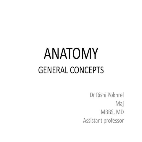 General concepts of anatomy for nursing