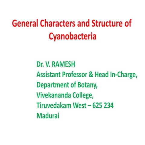 General features and structure of cyanobacteria
