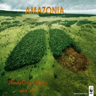 Generalidades de la Selva Amazónica...