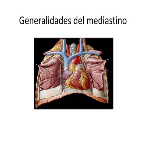 Generalidades del mediastino 1