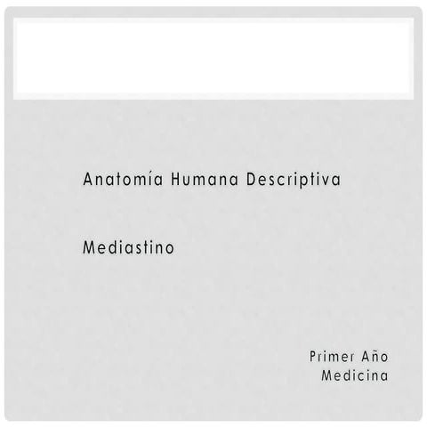 Generalidades de mediastino