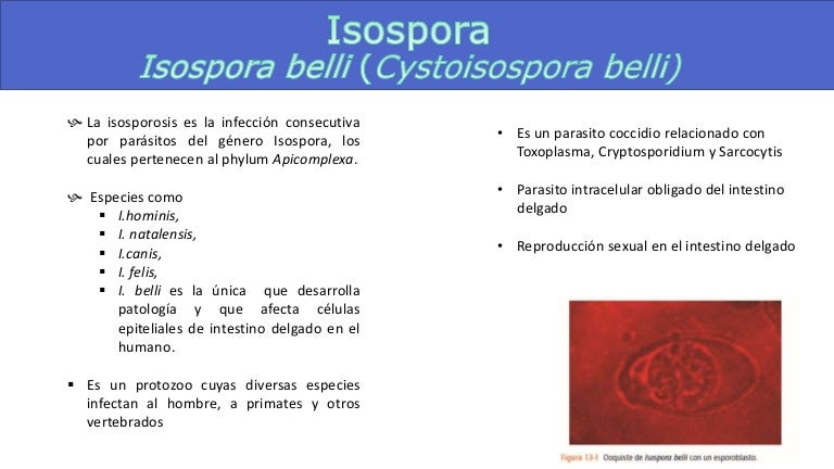 Generalidades isospora