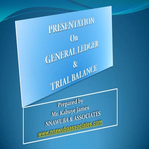 General Ledger & Trail Balance