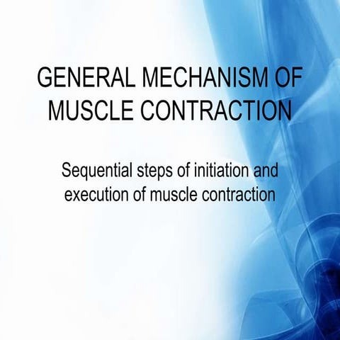 General mechanism of muscle contraction