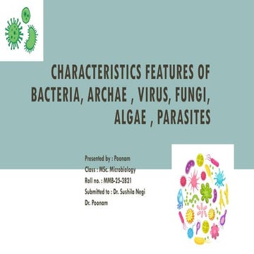 Comprehensive Overview of Microorganisms: Bacteria, Archaea, Viruses ...