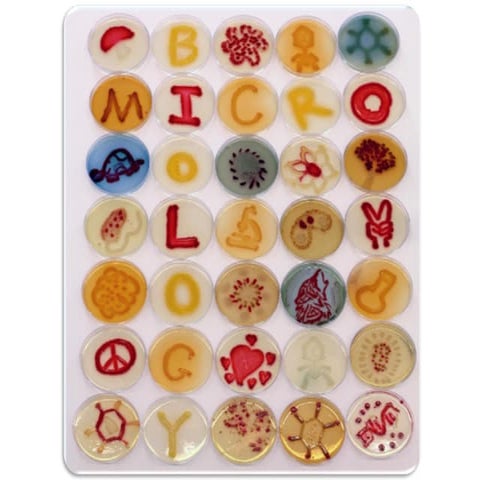 General Microbiology Section 1.pdf and bacteria