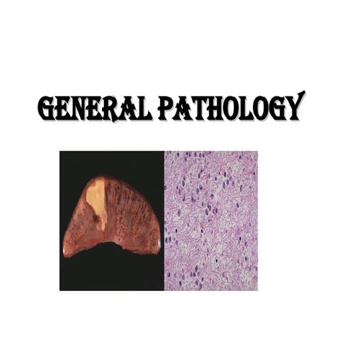 General Pathology.ppt salem f gerbadipathologybadi