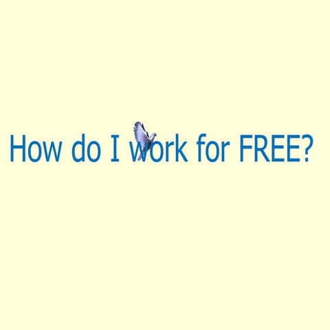 I Work for free