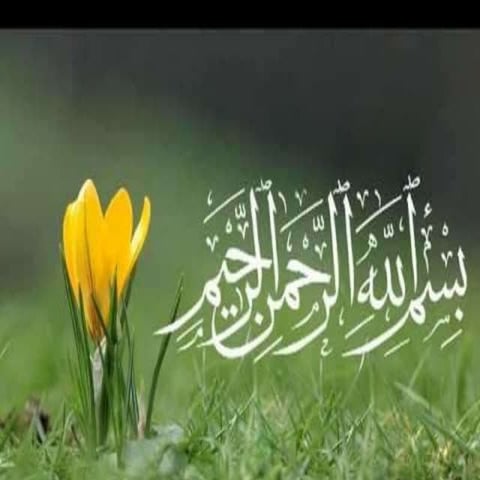 General principles of plant disease management