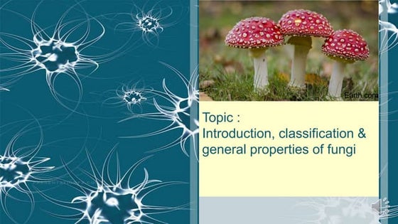 Basic biology of fungi presentation-1.ppt