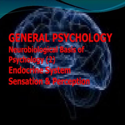 General psych neurobiobases part 2