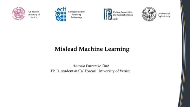 Machine Learning Security