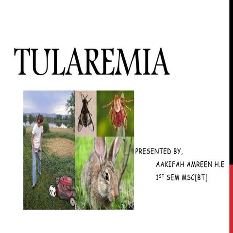 Tularemia