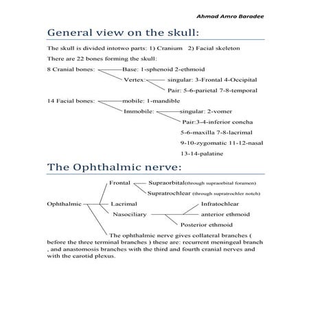 Review of Head and Neck Anatomy