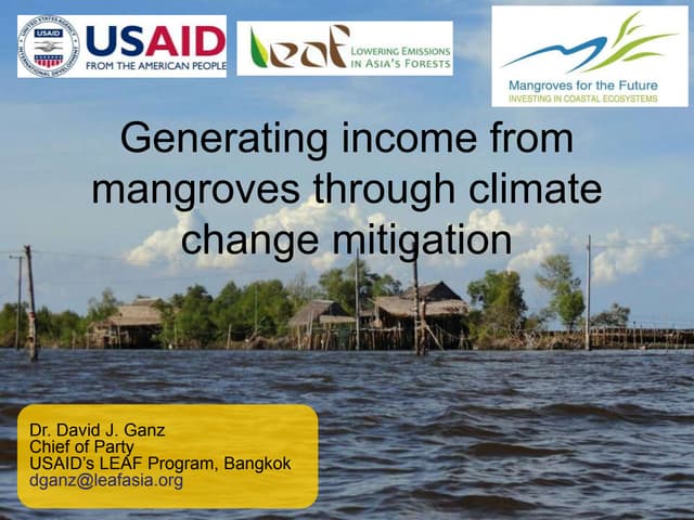Generating income from mangroves through climate change mitigation