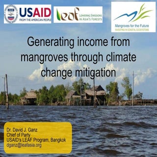 Generating income from mangroves th...