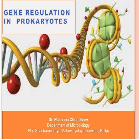 Gene Regulation.pptx