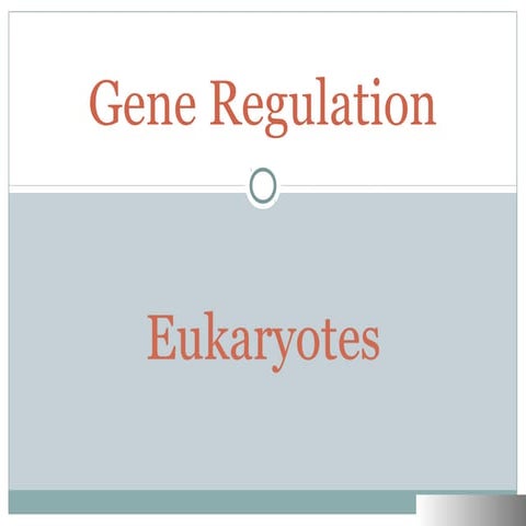 Gene regulation   eukaryotes