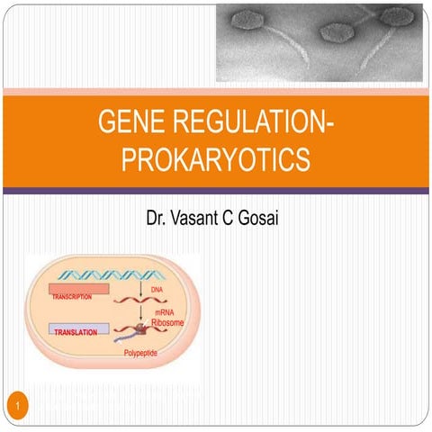 Gene Regulation in Prokaryotics