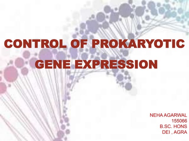 Gene regulation in prokaryotes
