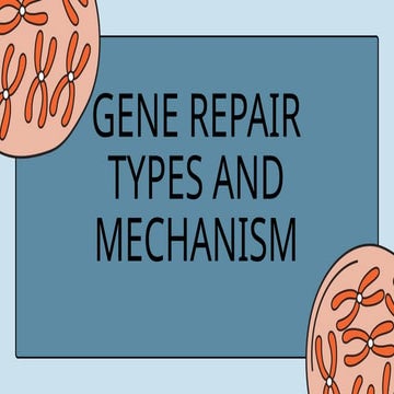 Gene repair_20241112_004638_0hffhh000.pptx