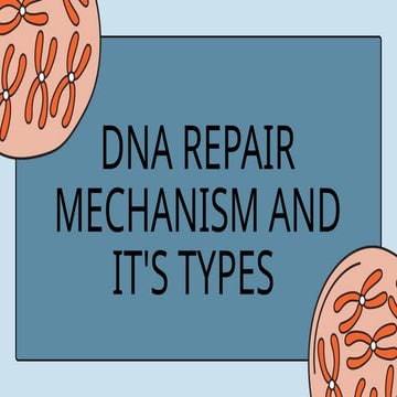 Gene repair_ by Umar 20241114_065623_0000.pptx