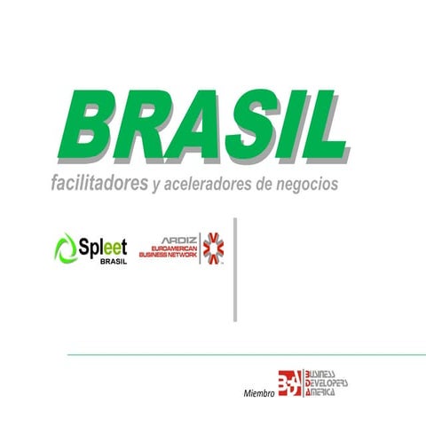 Business in Brazil 