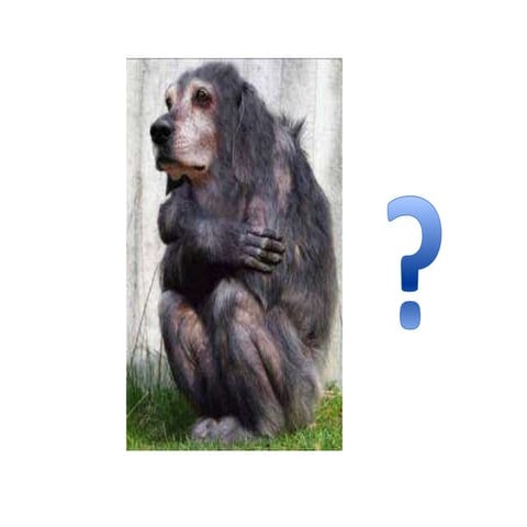 Generic hybridity stars technology1