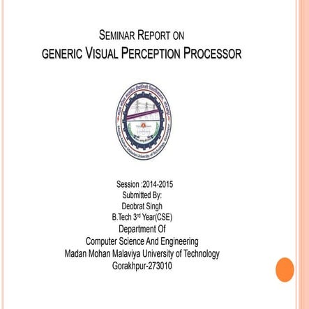Generic visual perception processor   