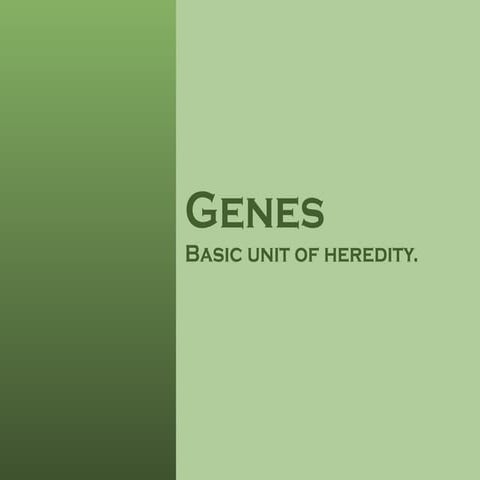 Genes