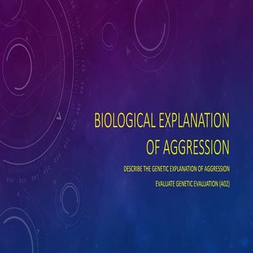 Genetic explanation of aggression