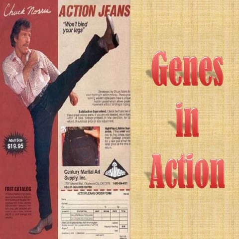 Genes in Action