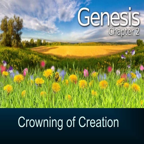 Genesis 02 crowning of creation
