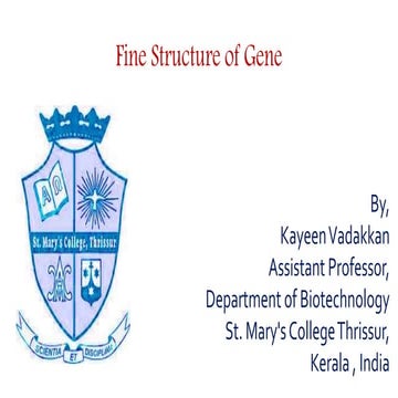 Gene structure