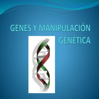 Genes y manipulación genética