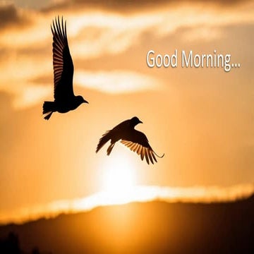 Gene Therapy by Dr. Abrar Kabir Shishir.pdf