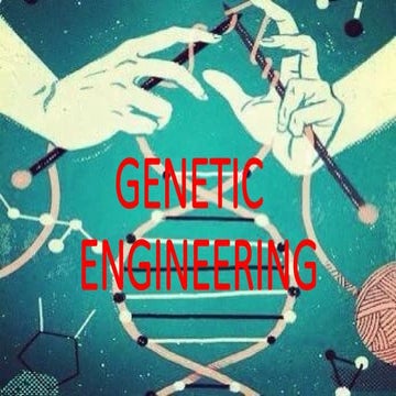processes of genetic engineering powerpoint presentation | PPTX