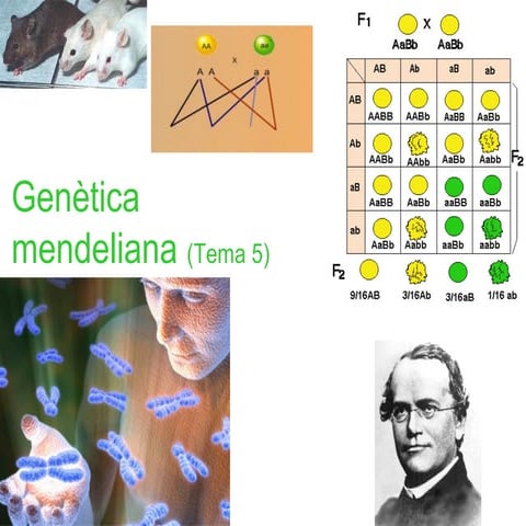 Genetica