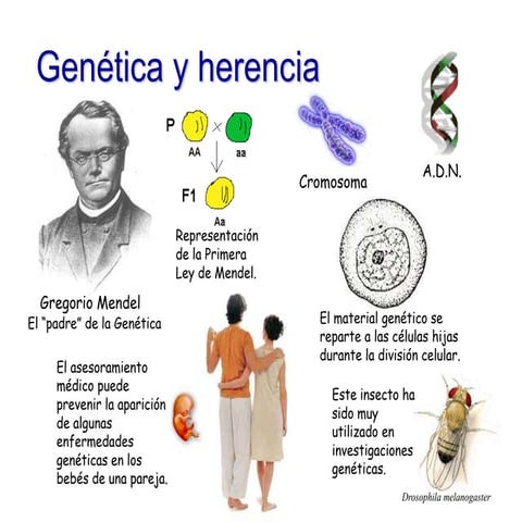 Genetica