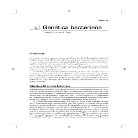 Genetica bacteriana