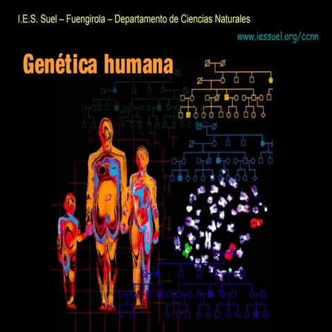 Geneticahumana 090327125556-phpapp01
