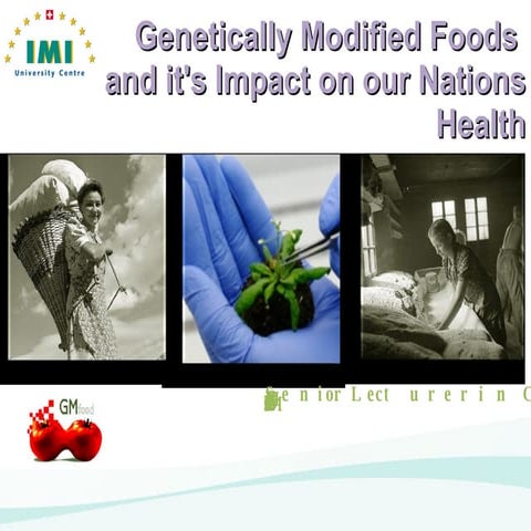 Genetically Modified Foods IMI Luzern