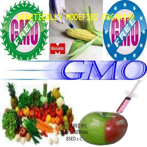 Genetically modefied organis mxd