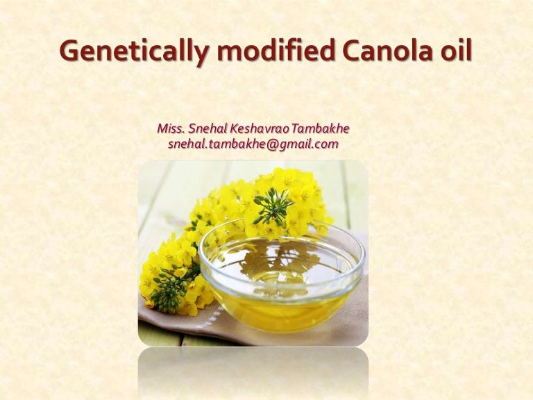 modified canola oil