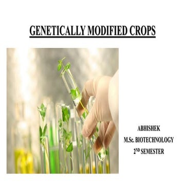 Genetically modified crops | PPTX