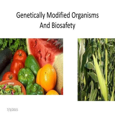 Genetically modified foods