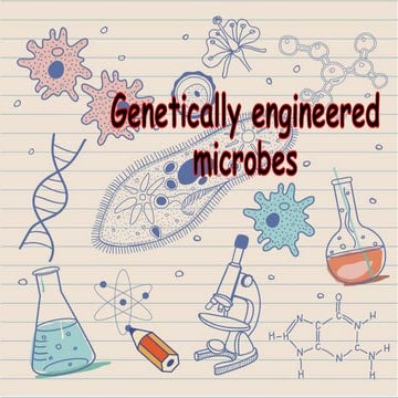 Genetically modified microbes